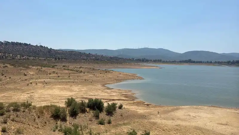 Bodrum'da Su Krizi: Su Kesintileri Neden Oluyor ve Çözüm Önerileri