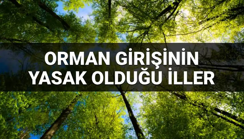 2025 Yılında Hangi İllerde Ormana Girmek Yasak Olacak?