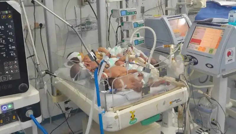Gazzeli Doktorların Çağrısı: "Kuvözlerde Birden Fazla Bebek Hayat Mücadelesi Veriyor"