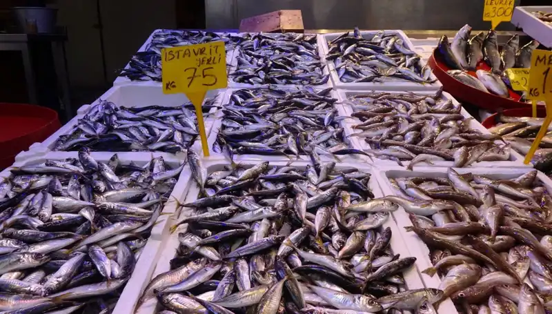 Balık Avı Sezonu Kapanıyor: Sevilen Türler Hangi Tarihte Bitecek?