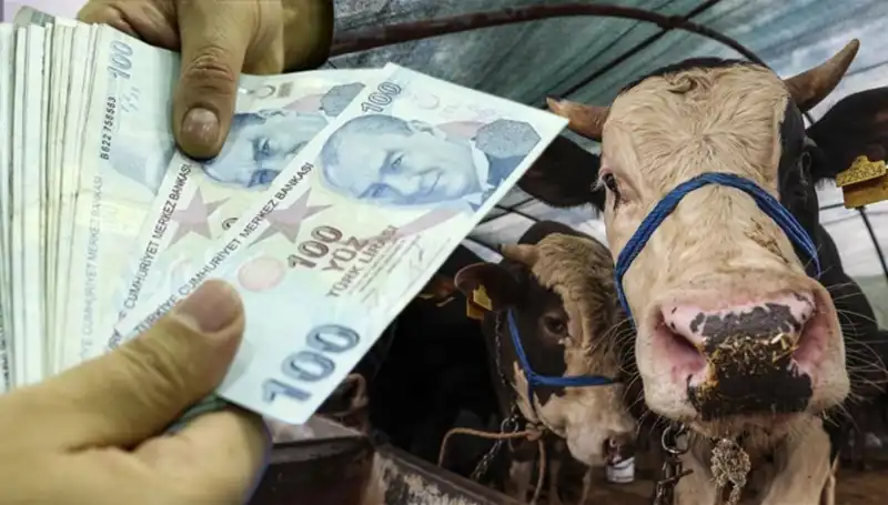 Bayram Öncesi Maaşlar Yatacak mı? Emekli ve Memurların Beklentisi