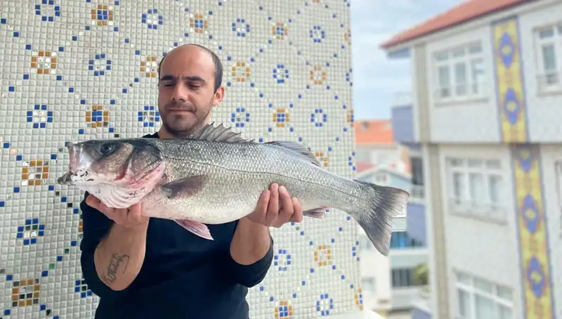 7,5 Kiloluk Dev Levrek, Balıkçıları Büyüledi! Eşsiz Av Anları