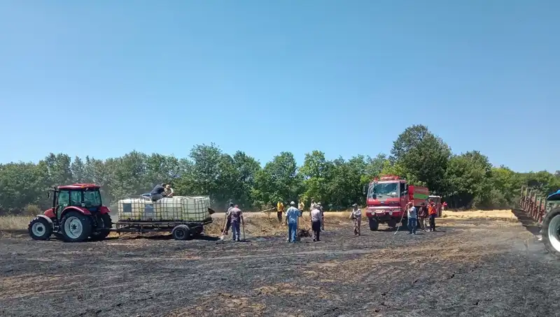 Buğday Tarlasındaki Yangın: 10 Dönüm Alanı Kül Etti!