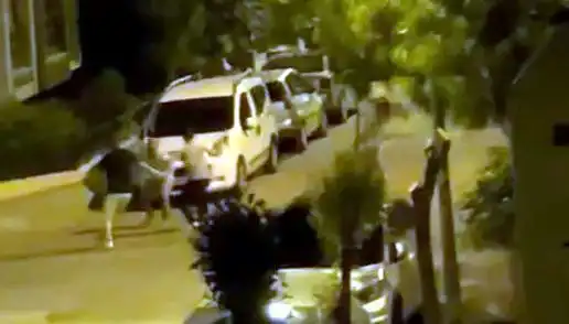 Avcılar'da Sıcak Gelişme: 3 Kişinin Saldırısına Uğrayan Adam Kurtarıldı